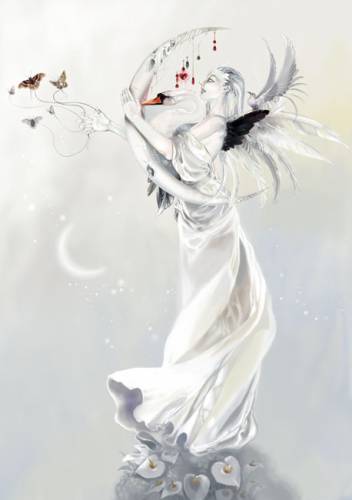 LIBRE..